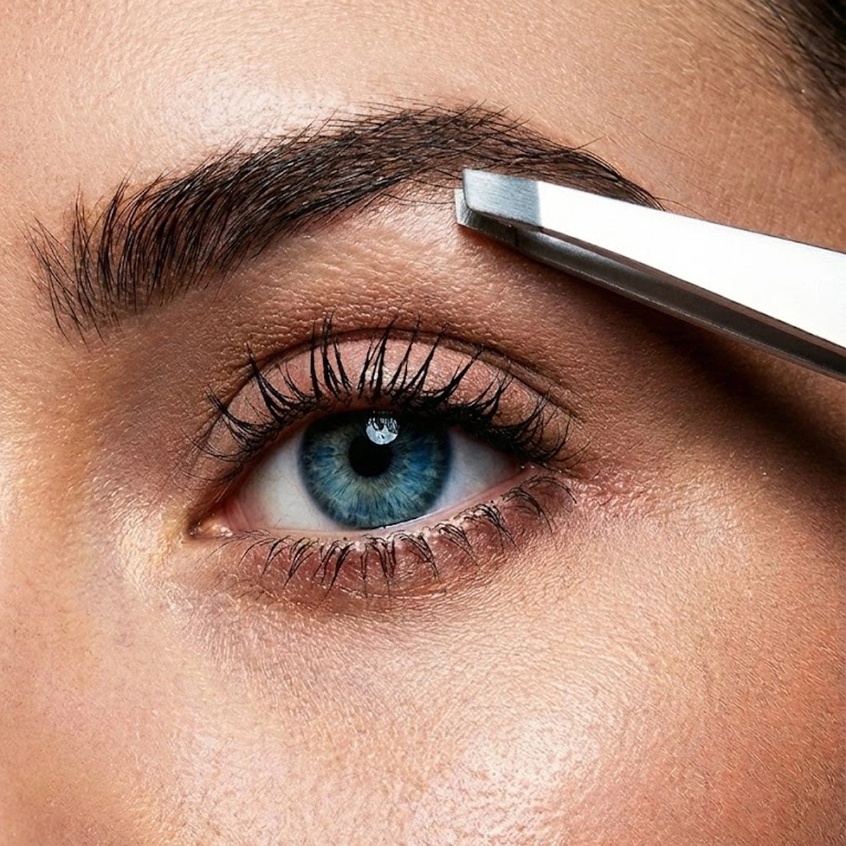 Toplash Precision Slant Tweezer
